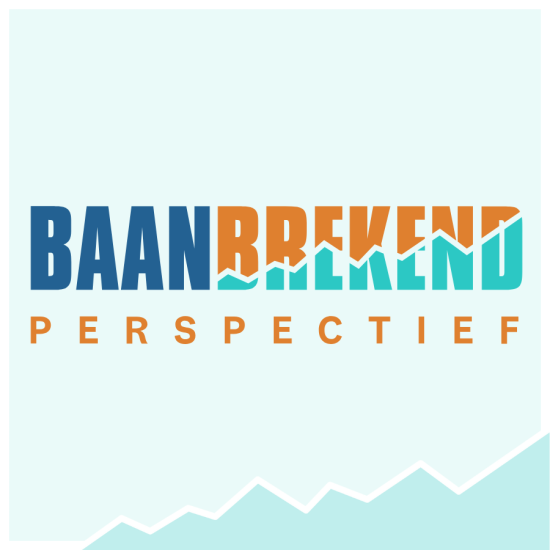 Baanbrekend Perspectief - het experiment